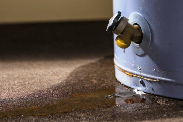  Amherst, VA Water damage restoration Pros