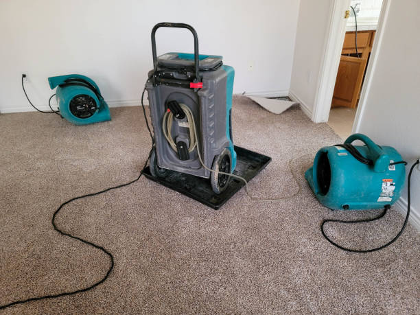 Best Residential water damage restoration  in Amherst, VA