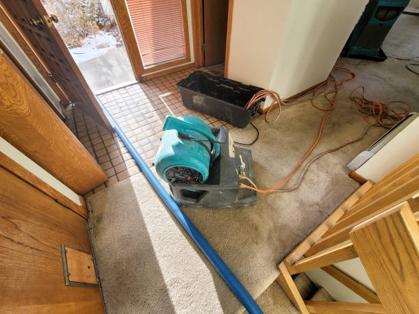 Best Basement water damage restoration  in Amherst, VA