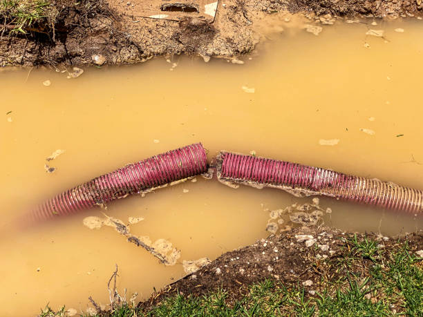 Best Water damage restoration insurance claims  in Amherst, VA